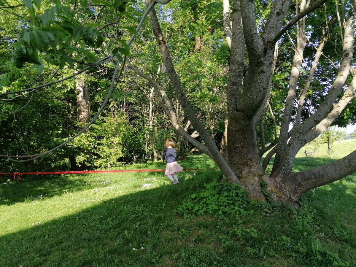 5Sterne Ferienwohnung Im Fachwerk Mit Bergblick In Alleinlage Und Grossem Garten, Infrarotkabine Humberg Esterno foto