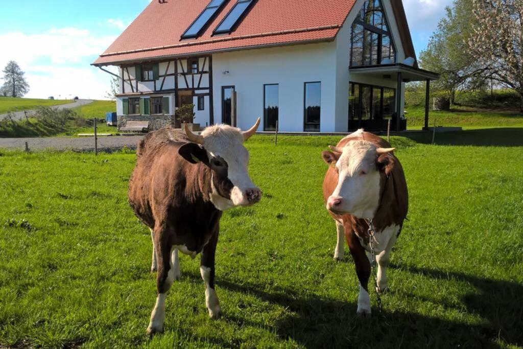 5Sterne Ferienwohnung Im Fachwerk Mit Bergblick In Alleinlage Und Grossem Garten, Infrarotkabine Humberg Esterno foto