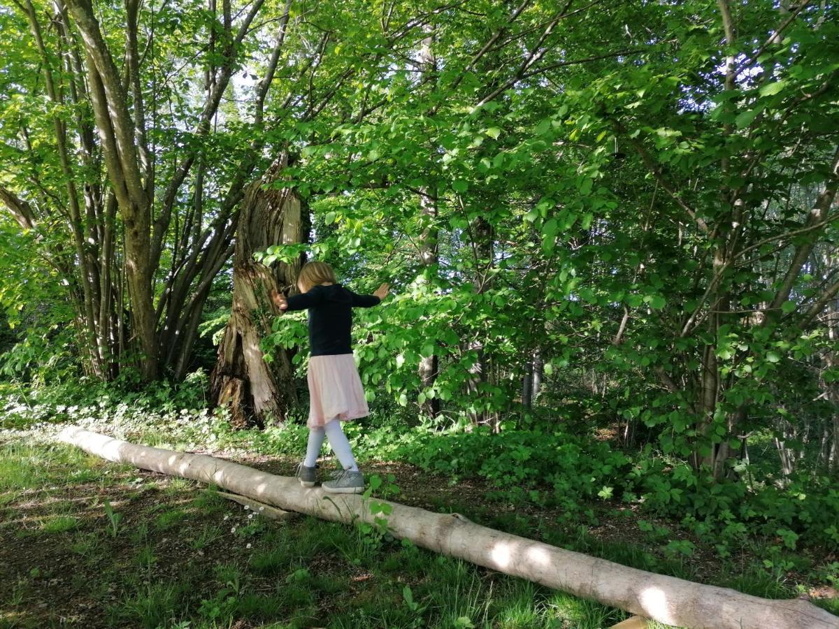 5Sterne Ferienwohnung Im Fachwerk Mit Bergblick In Alleinlage Und Grossem Garten, Infrarotkabine Humberg Esterno foto
