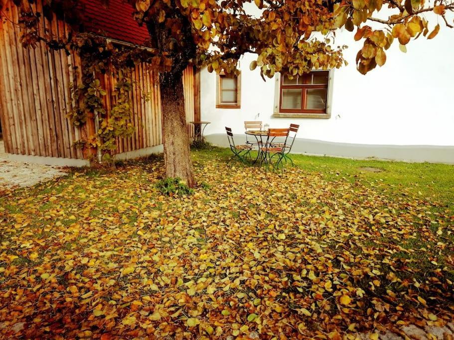 5Sterne Ferienwohnung Im Fachwerk Mit Bergblick In Alleinlage Und Grossem Garten, Infrarotkabine Humberg Esterno foto