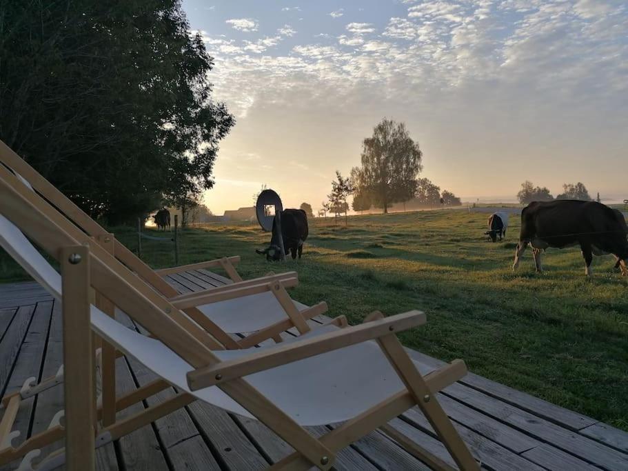 5Sterne Ferienwohnung Im Fachwerk Mit Bergblick In Alleinlage Und Grossem Garten, Infrarotkabine Humberg Esterno foto