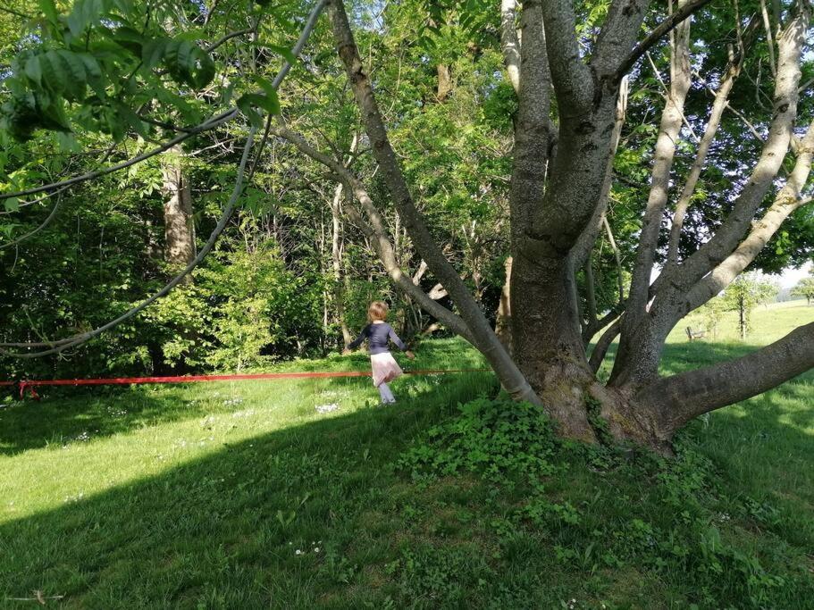 5Sterne Ferienwohnung Im Fachwerk Mit Bergblick In Alleinlage Und Grossem Garten, Infrarotkabine Humberg Esterno foto