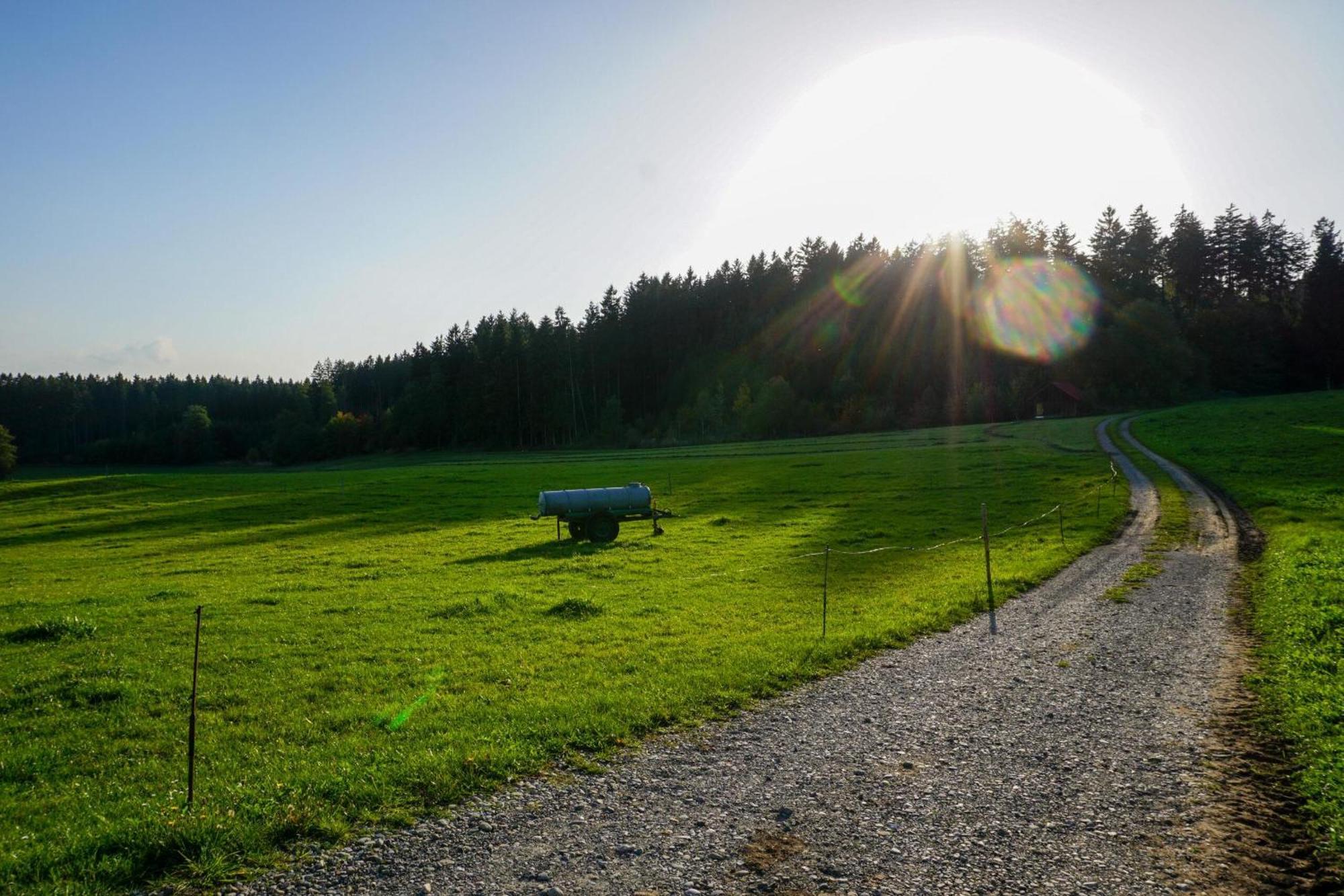 5Sterne Ferienwohnung Im Fachwerk Mit Bergblick In Alleinlage Und Grossem Garten, Infrarotkabine Humberg Esterno foto