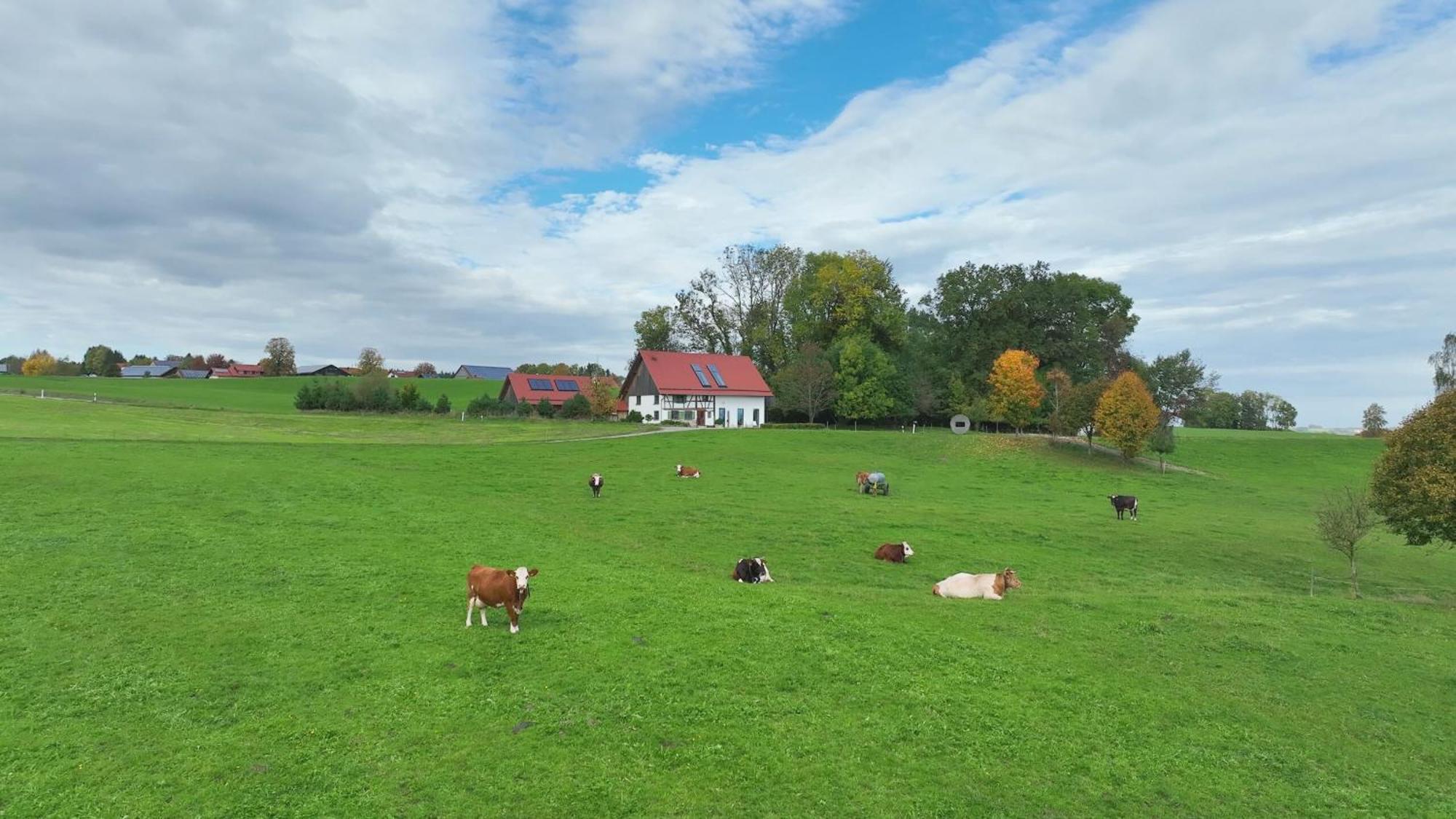 5Sterne Ferienwohnung Im Fachwerk Mit Bergblick In Alleinlage Und Grossem Garten, Infrarotkabine Humberg Esterno foto