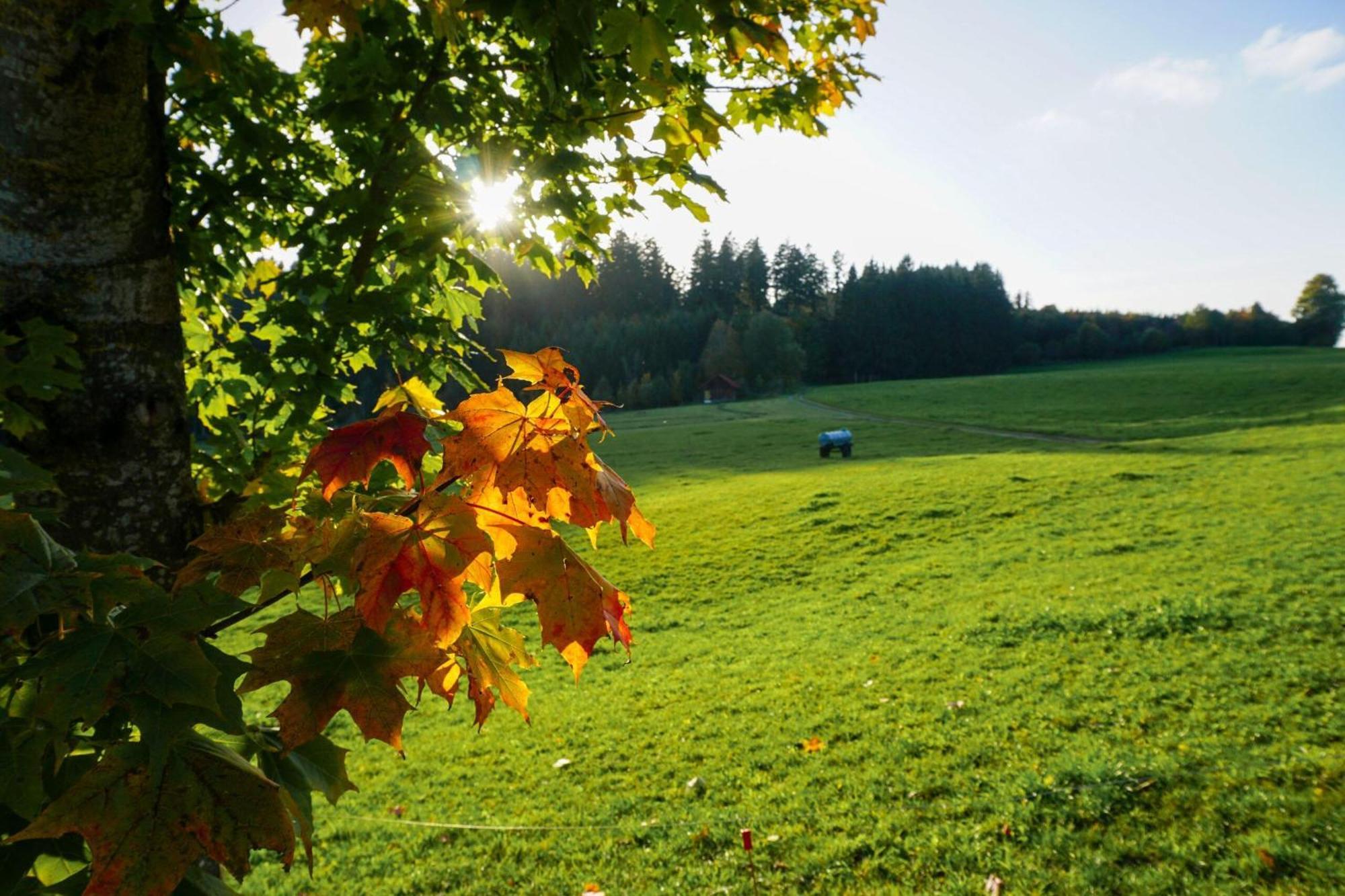5Sterne Ferienwohnung Im Fachwerk Mit Bergblick In Alleinlage Und Grossem Garten, Infrarotkabine Humberg Esterno foto